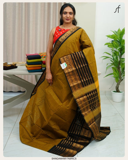 KANCHI COTTON SAREE