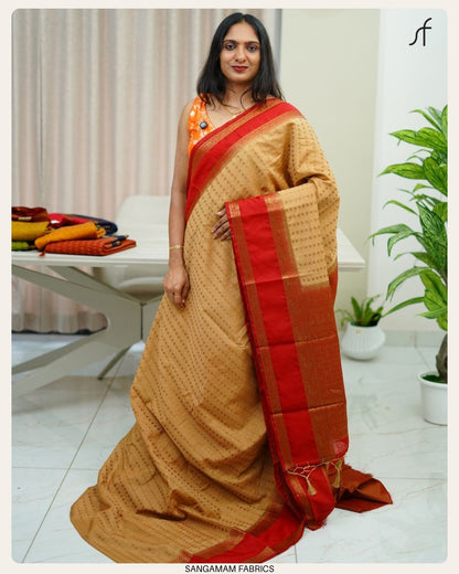 GEORGETTE BANARASI SAREE
