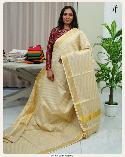 STRIPE DETAILED TISSUE SET SAREE