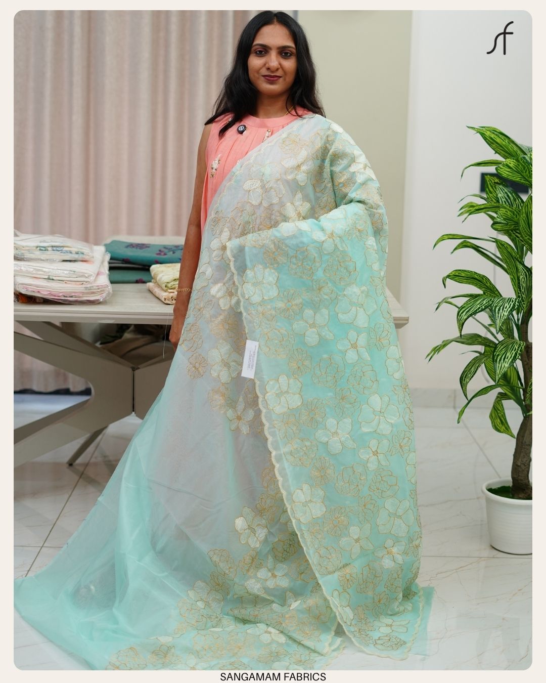 ORGANZA SAREE
