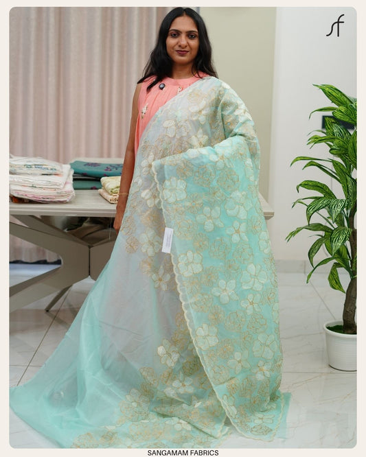 ORGANZA SAREE