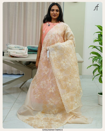 ORGANZA SAREE