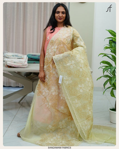 ORGANZA SAREE