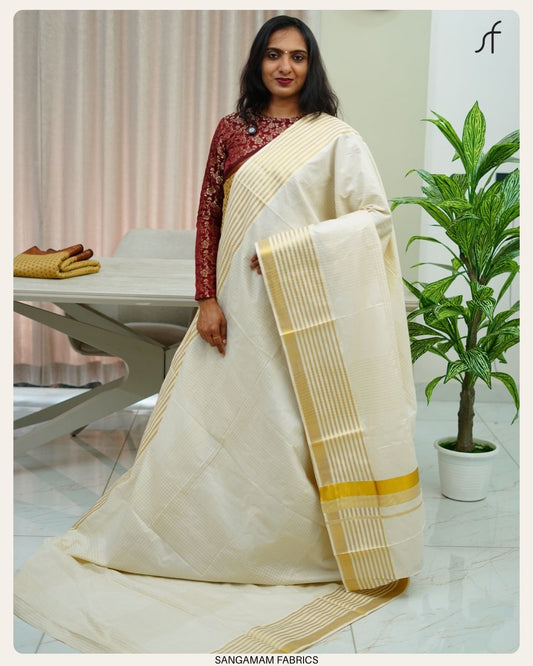 STRIPE WITH CHECK DETAILED SET SAREE