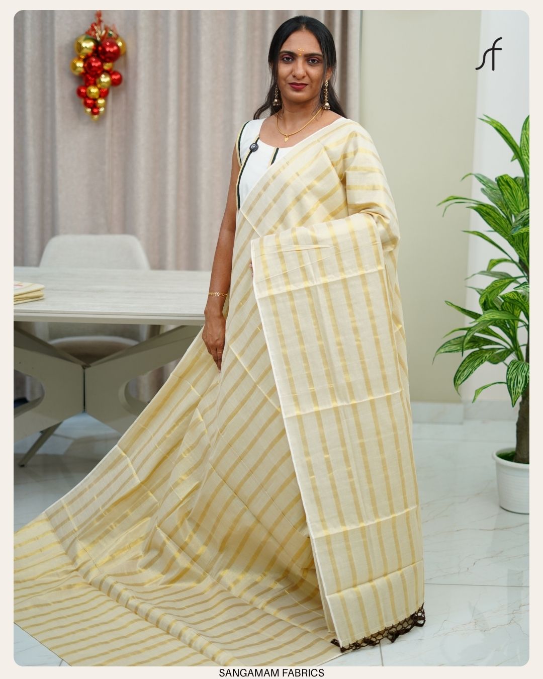 STRIPE DETAILED SAREE