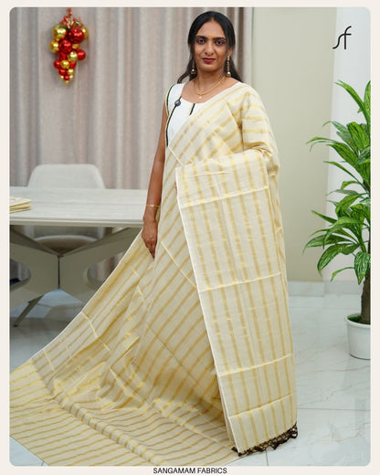 STRIPE DETAILED SAREE