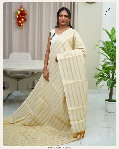 STRIPE DETAILED SAREE
