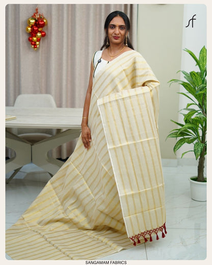 STRIPE DETAILED SAREE