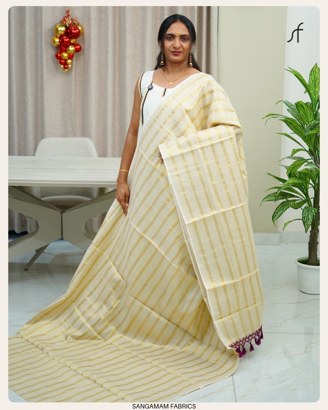STRIPE DETAILED SAREE
