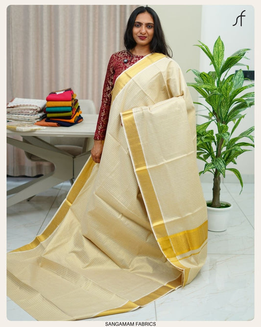 STRIPE DETAILED TISSUE SAREE