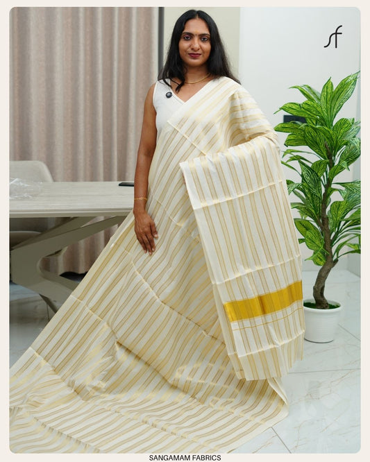 STRIPE DETAILED SET SAREE
