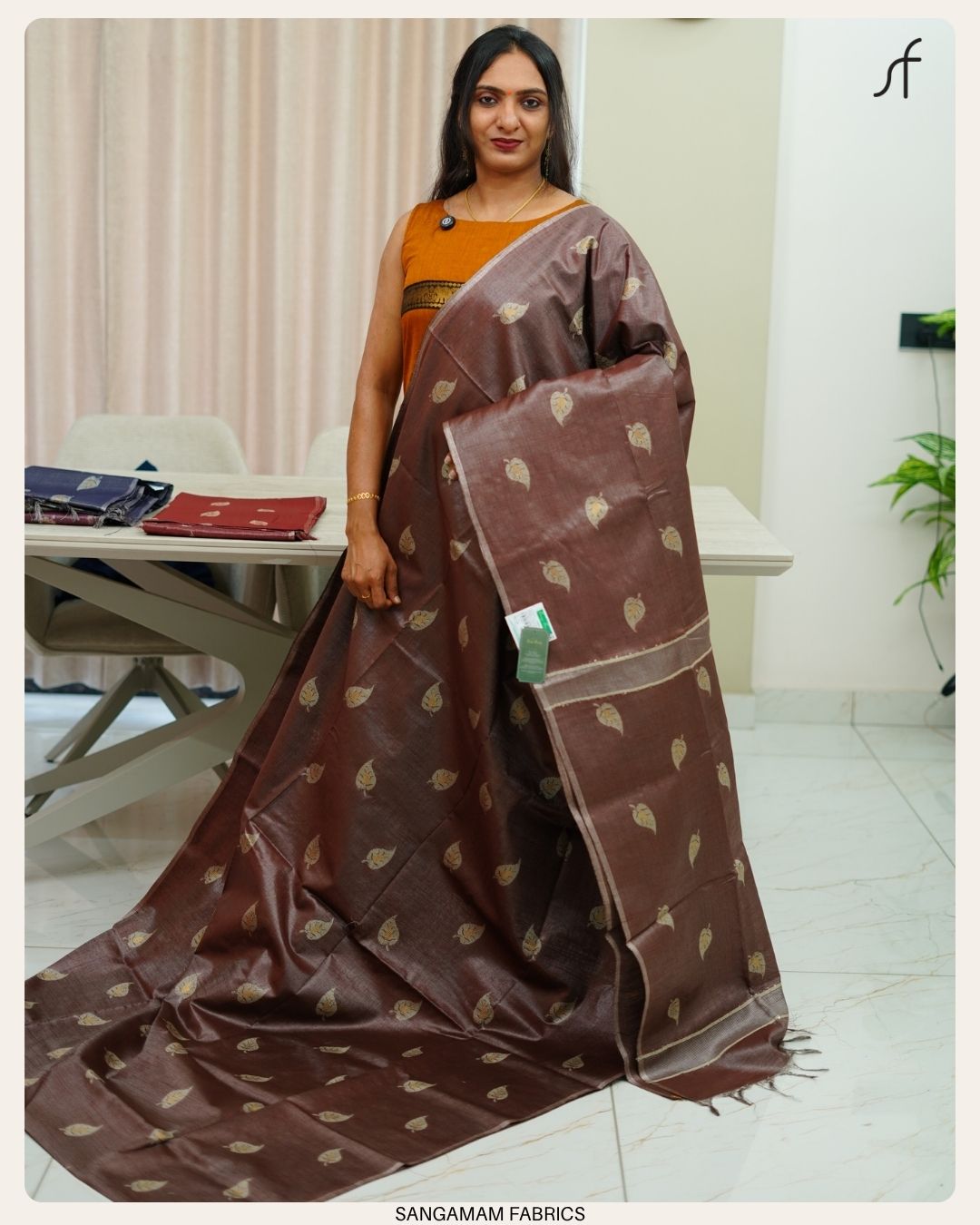 TISSUE TUSSAR SILK SAREE