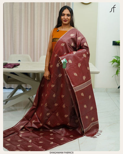 TISSUE TUSSAR SILK SAREE