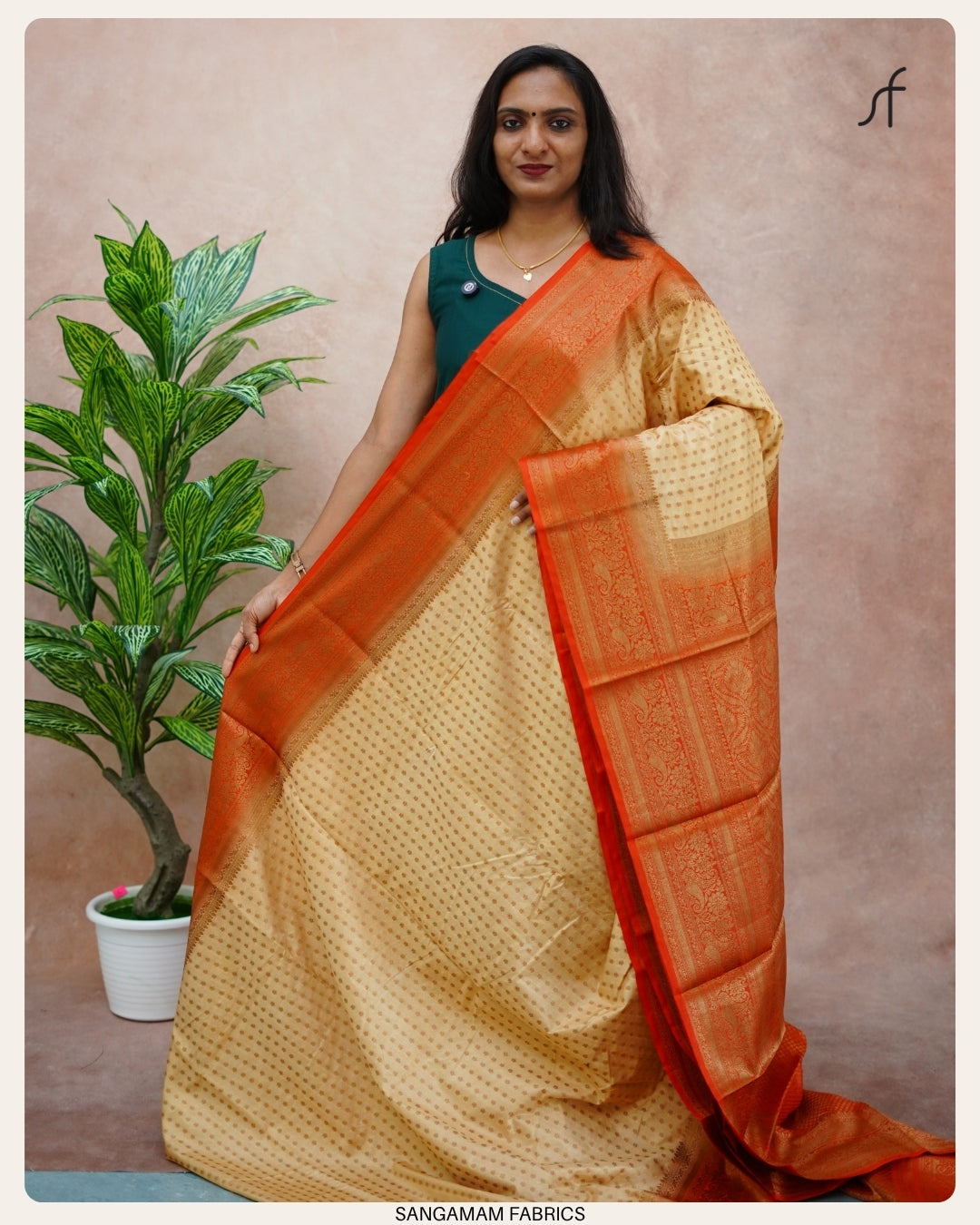 BANARASI SAREE