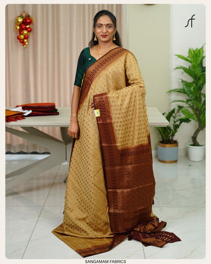 BANARASI SAREE