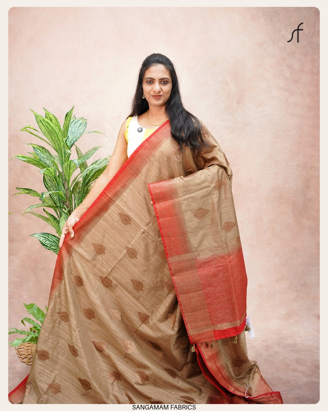 BANARASI TUSSAR SILK SAREE