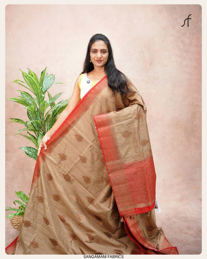 BANARASI TUSSAR SILK SAREE