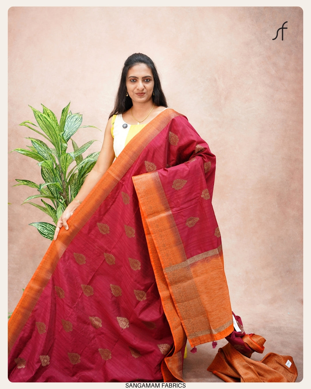BANARASI TUSSAR SILK SAREE
