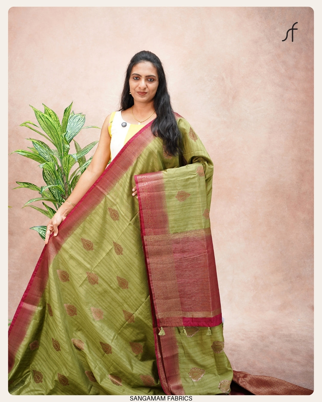 BANARASI TUSSAR SILK SAREE