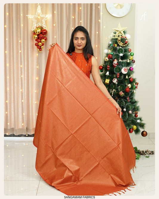 TISSUE TUSSAR  SILK SAREE