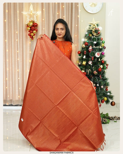 TISSUE TUSSAR  SILK SAREE
