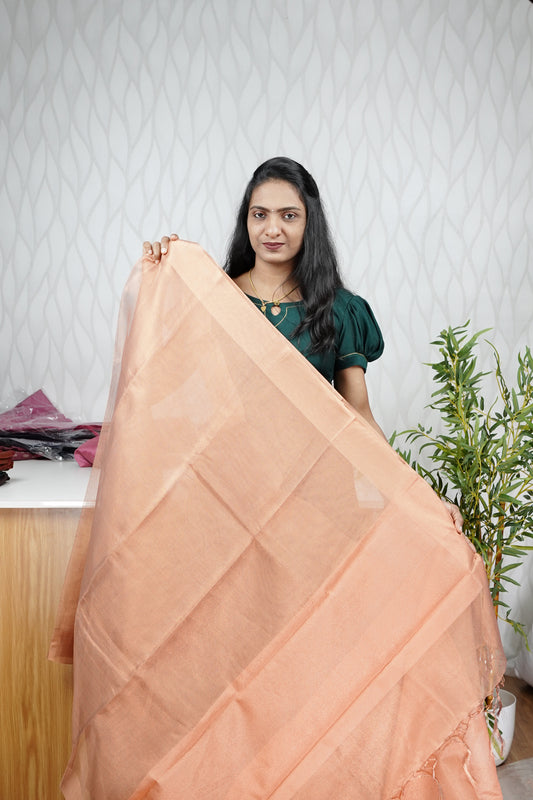 COPPER TISSUE SAREE