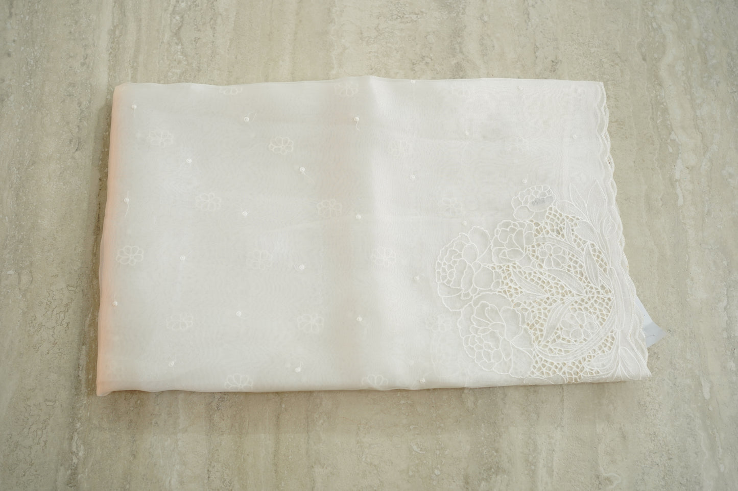 CUTWORK ORGANZA SAREE