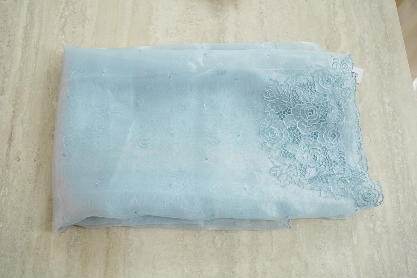 CUTWORK ORGANZA SAREE