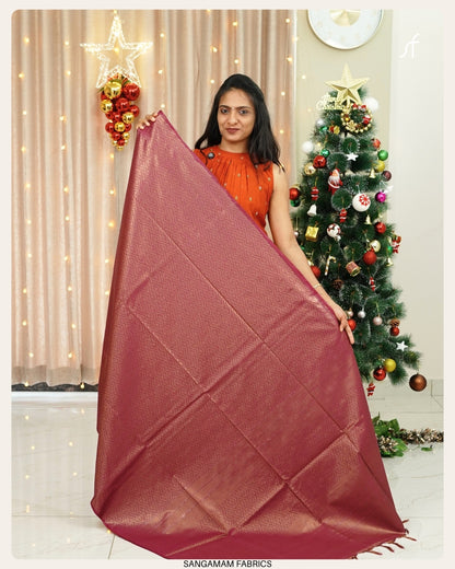 TISSUE TUSSAR  SILK SAREE